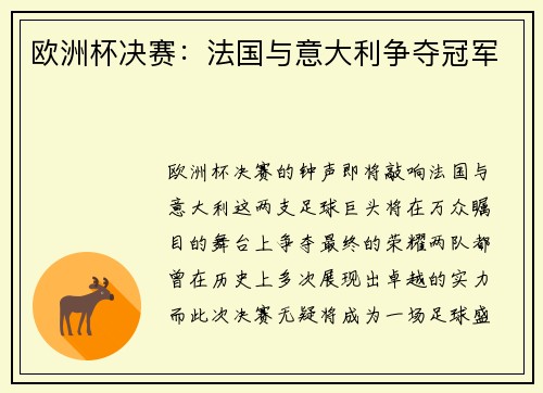 欧洲杯决赛：法国与意大利争夺冠军